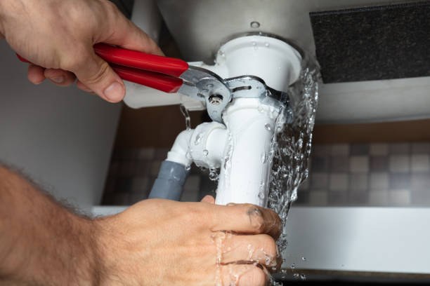 Best Flood restoration services  in St Leo, FL