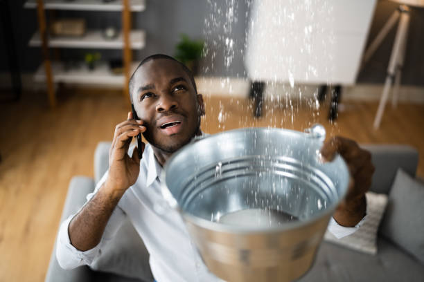 Best Sewage cleanup and water damage restoration  in St Leo, FL