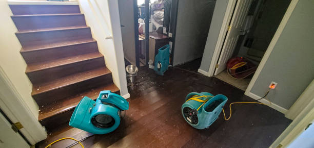 Best Residential water damage restoration  in St Leo, FL