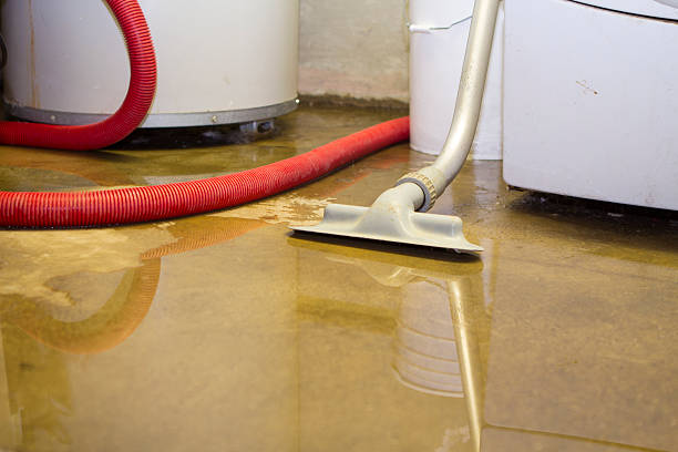 Best Fire Damage Restoration  in St Leo, FL