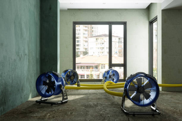 Best 24/7 water damage repair  in St Leo, FL